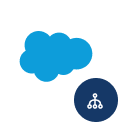 Salesforce Org Management